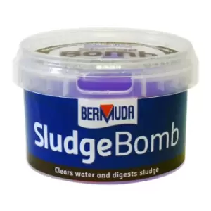 Image of Bermuda Bermuda Sludge Bomb