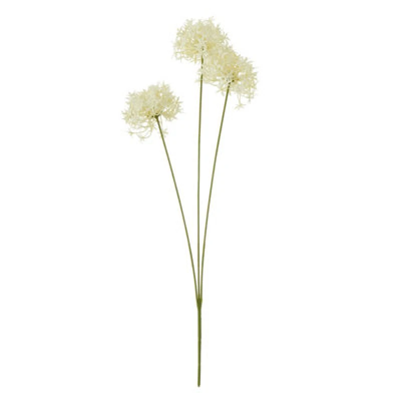 Image of Three Head Cream Allium Spray