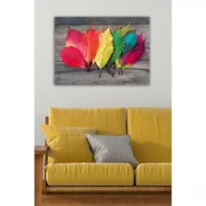 Image of 1516601024-5070 Multicolor Decorative Canvas Painting