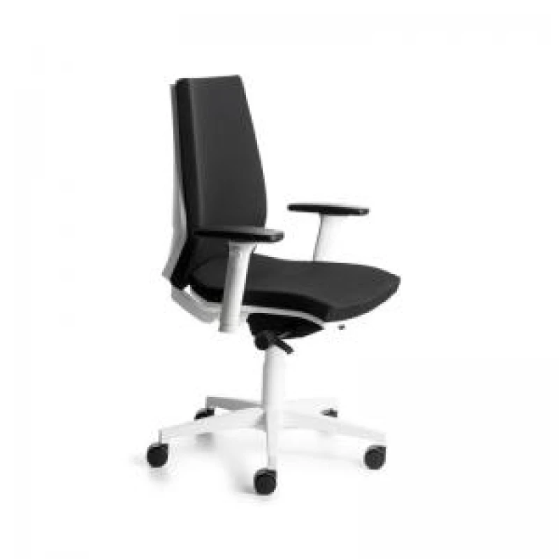 Image of ROCADA ERGOLINE Professional Chair with White Frame - Black