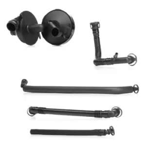 Image of RIDEX Valve, engine block breather BMW 3886V0005 11611432558,11611432558S1,11617501566 11617501566S1