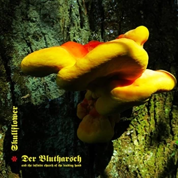 Image of Der Blutharsch/ Skullflower - Angel of Darkness CD