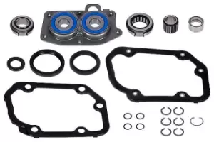 Image of LuK Repair Set, manual transmission LuK GearBOX 462 0055 10 VW,AUDI,FORD,Golf IV Schragheck (1J1),Golf V Schragheck (1K1),POLO (9N_)