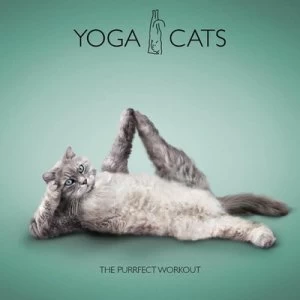 Image of Yoga Cats by Dan Borris Hardback