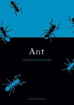 Image of Ant by Charlotte Sleigh Book