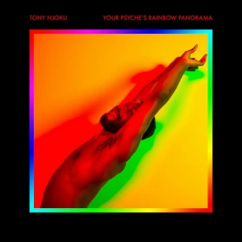 Image of Tony Njoku - Your Psyche's Rainbow Panorama Vinyl