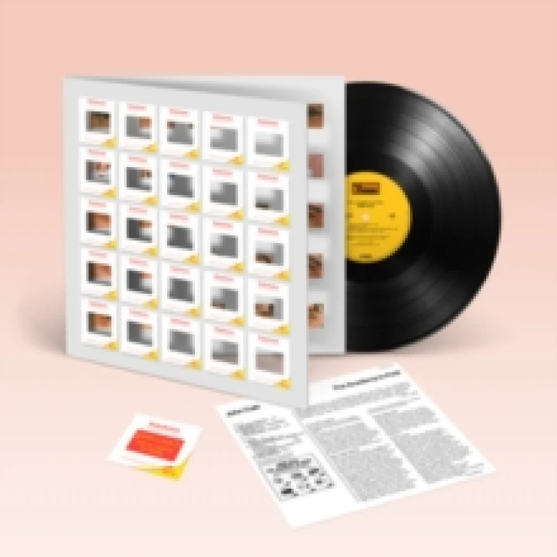 Image of The Academy in Peril Vinyl