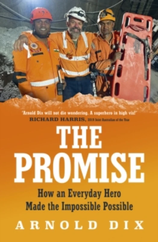 Image of The Promise : How an everyday hero made the impossible possible Paperback / softback