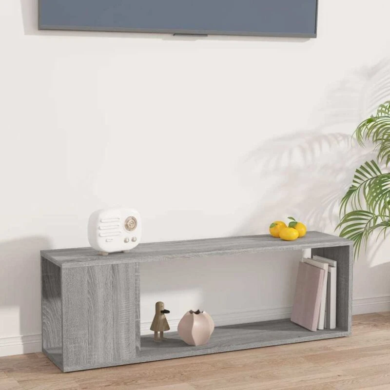 Image of VIDAXL Vidaxl - tv Cabinet Grey Sonoma 100x24x32cm Engineered Wood 8720286956892