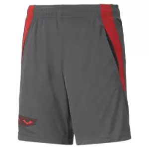 Image of Puma Neymar Junior Batman Shorts Juniors - Grey