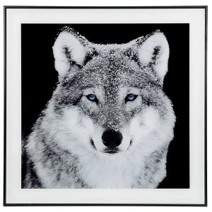 Image of Decor Picture Square Large Wolf