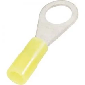 Image of Ring terminal Cross section max.6 mm2 Hole 8.4mm Partiall