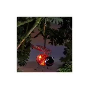 Image of Solar Bug Light - Ladybird