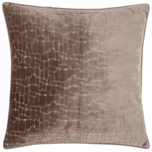 Image of Bloomsbury Velvet Cushion Taupe, Taupe / 50 x 50cm / Polyester Filled
