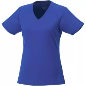 Image of Elevate Womens/Ladies Amery Short Sleeve Cool Fit V-Neck T Shirt (L) (Blue)