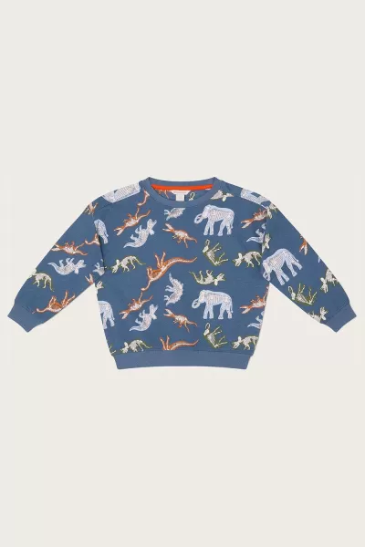 Image of Glow in the Dark Dinosaur Print Sweatshirt
