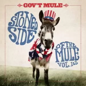 Image of Gov't Mule Stoned side of the Mule CD multicolor