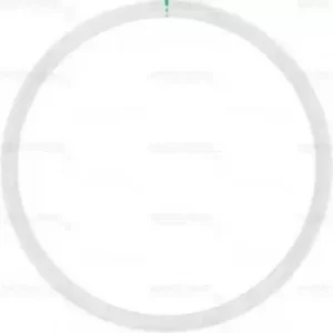 Image of Seal Gasket 61-25315-10 by Victor Reinz