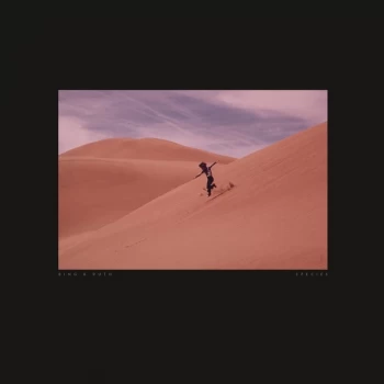 Image of Bing & Ruth - Species Vinyl