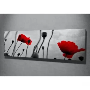 Image of PC048 Multicolor Decorative Canvas Painting