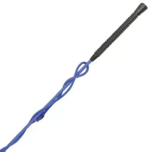 Image of Dublin Lunge Whip - Blue