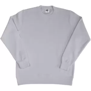 Image of SG Ladies/Womens Crew Neck Long Sleeve Sweatshirt (S) (Light Oxford)