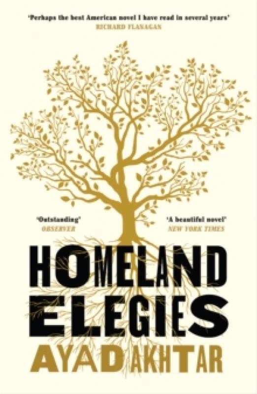 Image of Homeland Elegies : A Barack Obama Favourite Book Paperback / softback