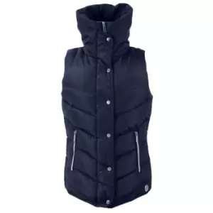 Image of Coldstream Womens/Ladies Kimmerston Quilted Gilet (XL) (Navy)