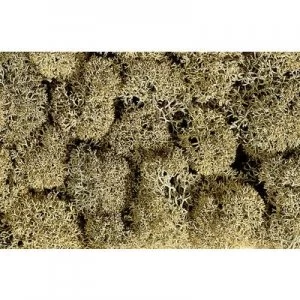 Image of NOCH 8600 Moss Stone grey