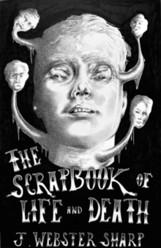Image of The Scrapbook Of Life And Death Paperback / softback