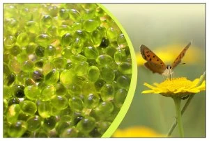 Image of Canadian Spa Aaromatherapy Camomile Vigour Scents