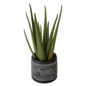 Image of Interiors by PH Faux Aloe Vera in Cement Pot, none