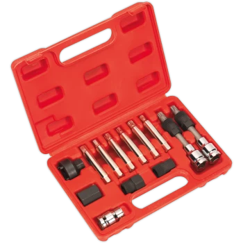 Image of Sealey 13 Piece Alternator Freewheel Removal Tool Kit