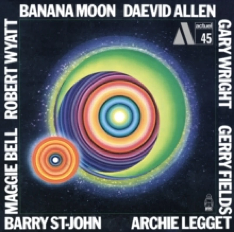 Image of Banana Moon Vinyl