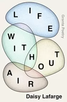 Image of Life Without Air