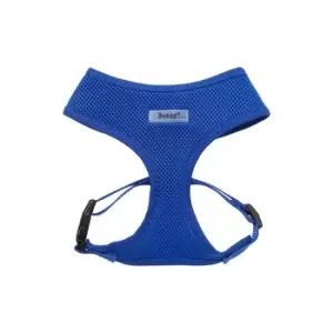 Image of Bunty Blue Mesh Dog Harness