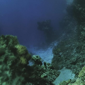 Image of Tiny Fingers - The Fall CD