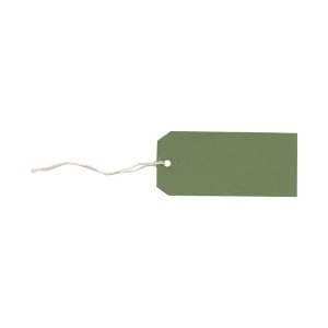 Image of Strung Tags 120mm x 60mm Green 1 x Pack of 1000