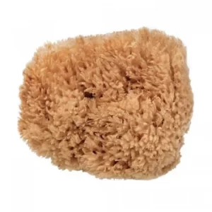 Image of Beauty Kitchen Eco-Harvested Body Sea Sponge 50g