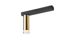 Image of Diego Surface Mounted Downlight Gold, 1x E27