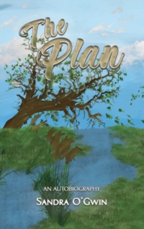 Image of The Plan. Paperback. By Sandra OGwin Books