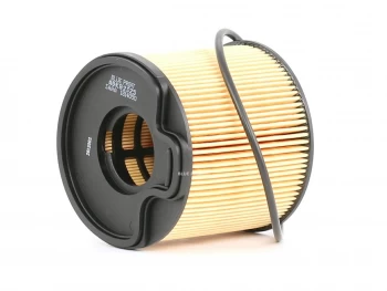 Image of Blue PRINT Fuel Filter PEUGEOT,CITROEN,LANCIA ADK82325 190650,190651,1906A1 1906C5,E148043,E148120,71771387,9401906508,9401906508,190650,190651