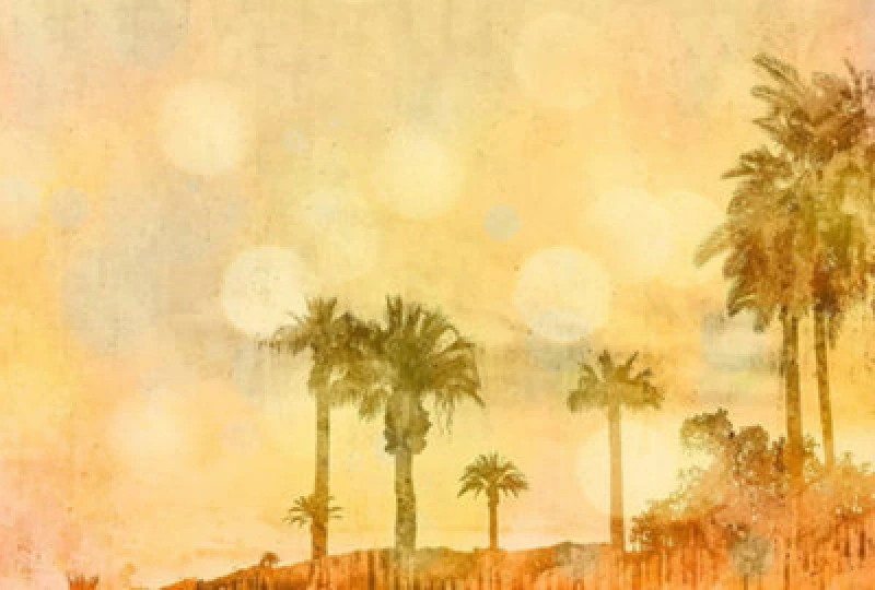 Image of As Creation Palm Oasis 1 Digital Mural 400Cm X 270Cm
