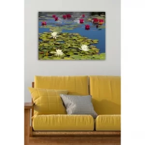 Image of 154086938-5070 Multicolor Decorative Canvas Painting