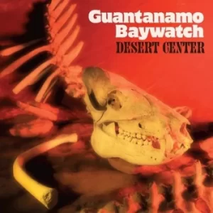 Image of Desert Center by Guantanamo Baywatch Vinyl Album