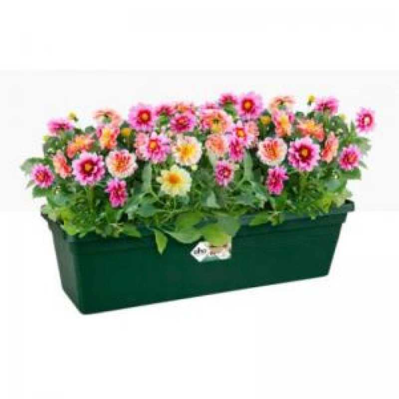 Image of Elho Green Basics Trough 60cm - Leaf Green 3511485936000