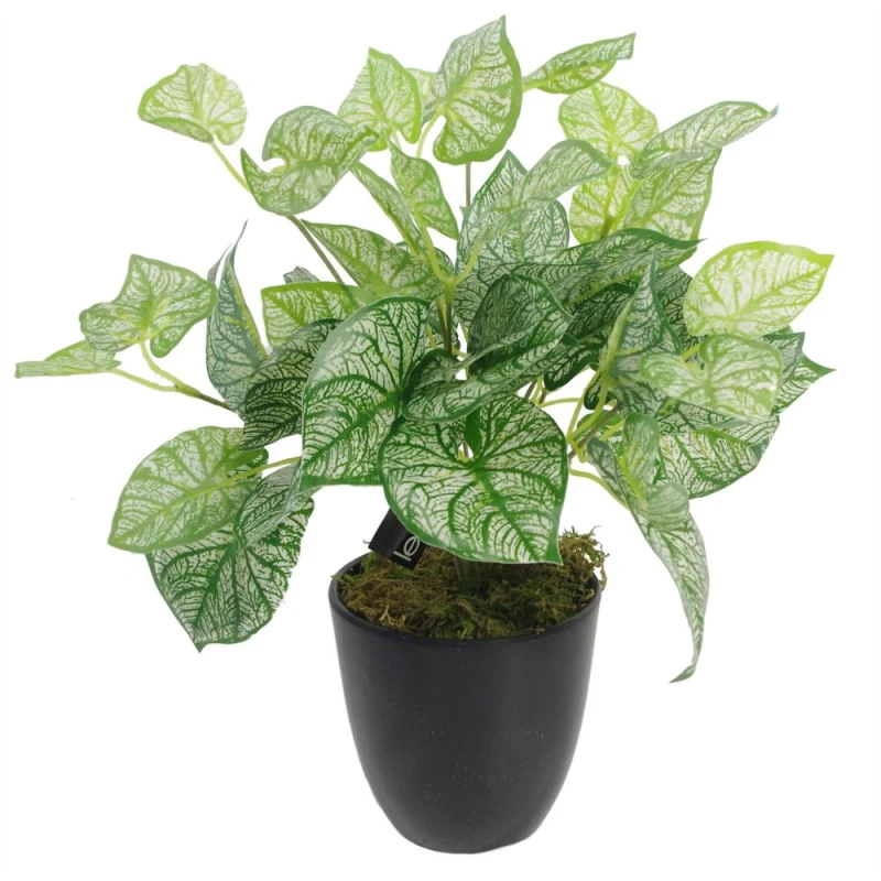 Image of Leaf 40cm Artificial Caladium Plant with pot Green