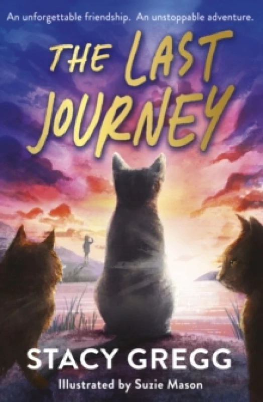 Image of The Last Journey Paperback / softback