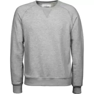 Image of Tee Jays Mens Urban Raglan Sweatshirt (M) (Heather Grey)