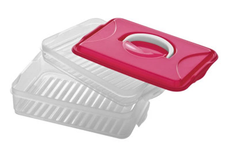 Image of Premier Housewares Hot Pink 2 Layer Food Container Clear